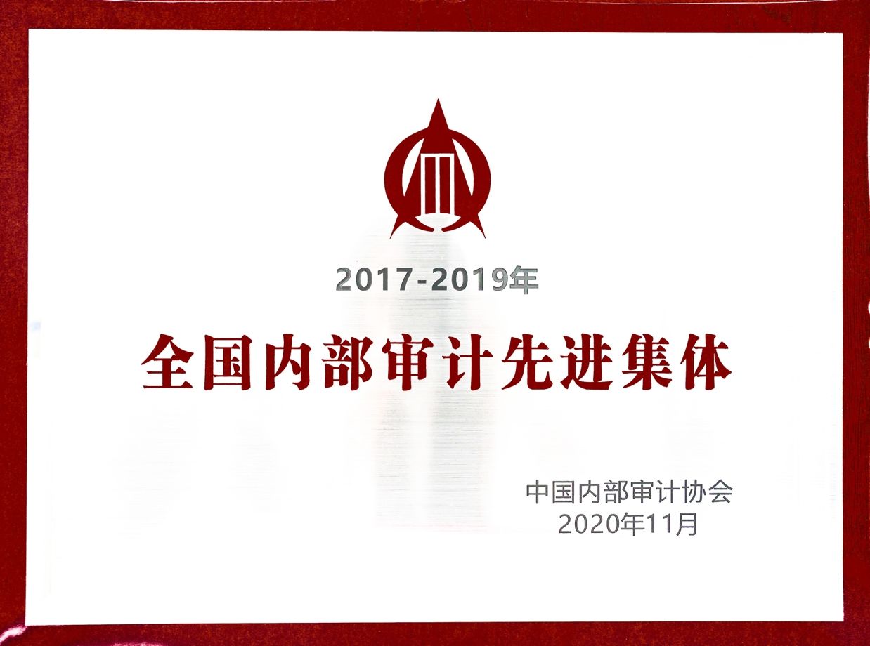 全国内部审计先进集体（2017-2019）_爱奇艺